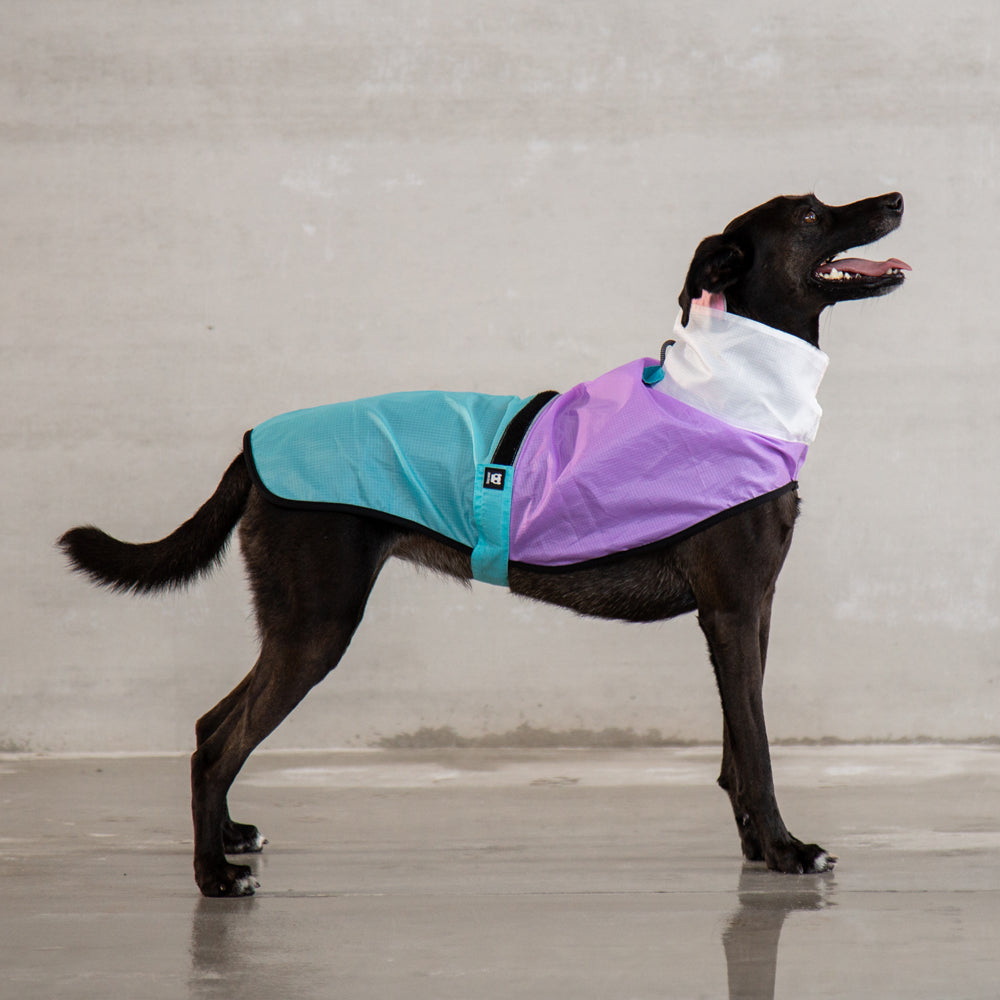 BEL-AIR RAINCOAT ベルエア レインコート