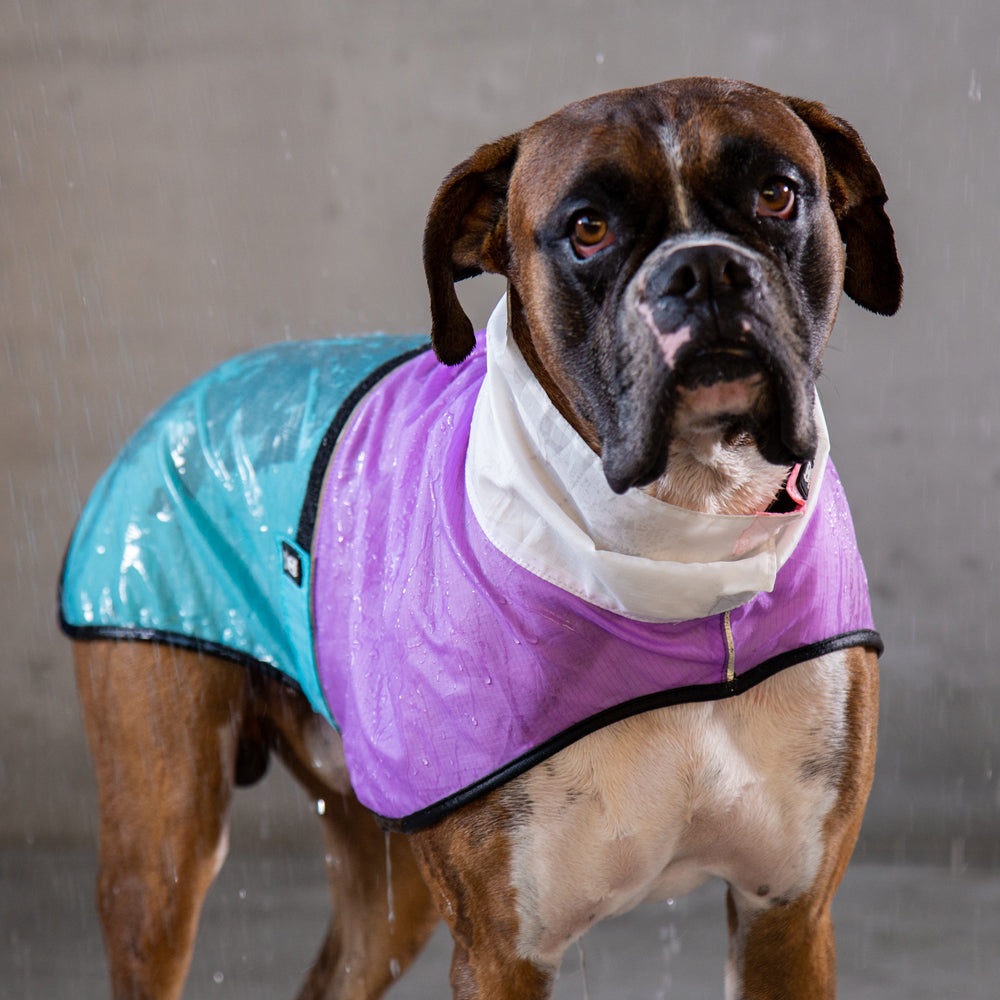 BEL-AIR RAINCOAT ベルエア レインコート