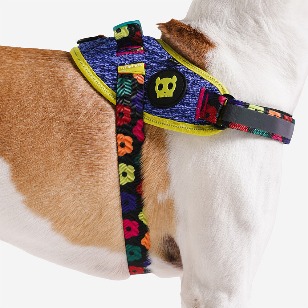 FARM RIO SAMBA FLY HARNESS ファームリオ サンバ フライハーネス