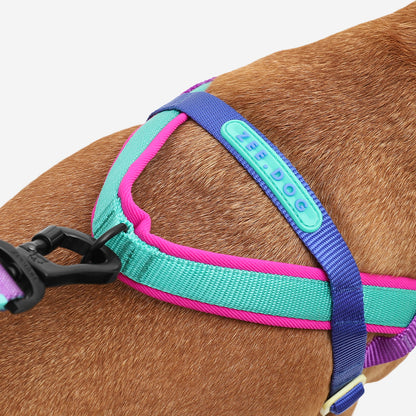 SHOCKWAVE SOFTER WALK HARNESS ショックウェーブ ソフターウォークハーネス