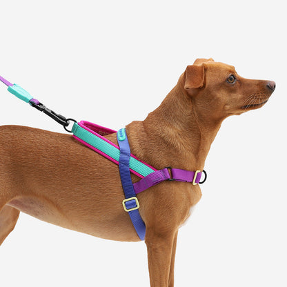 SHOCKWAVE SOFTER WALK HARNESS ショックウェーブ ソフターウォークハーネス