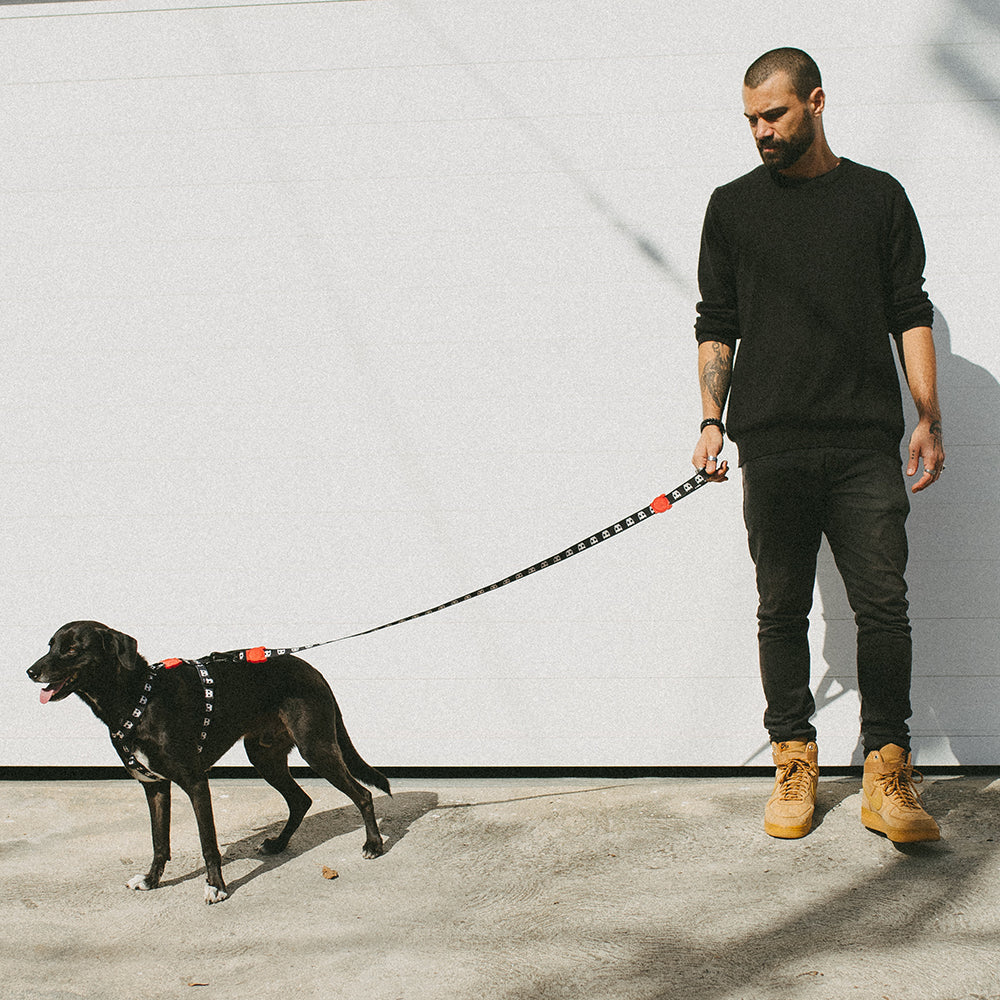 SKULL LEASH スカル リード