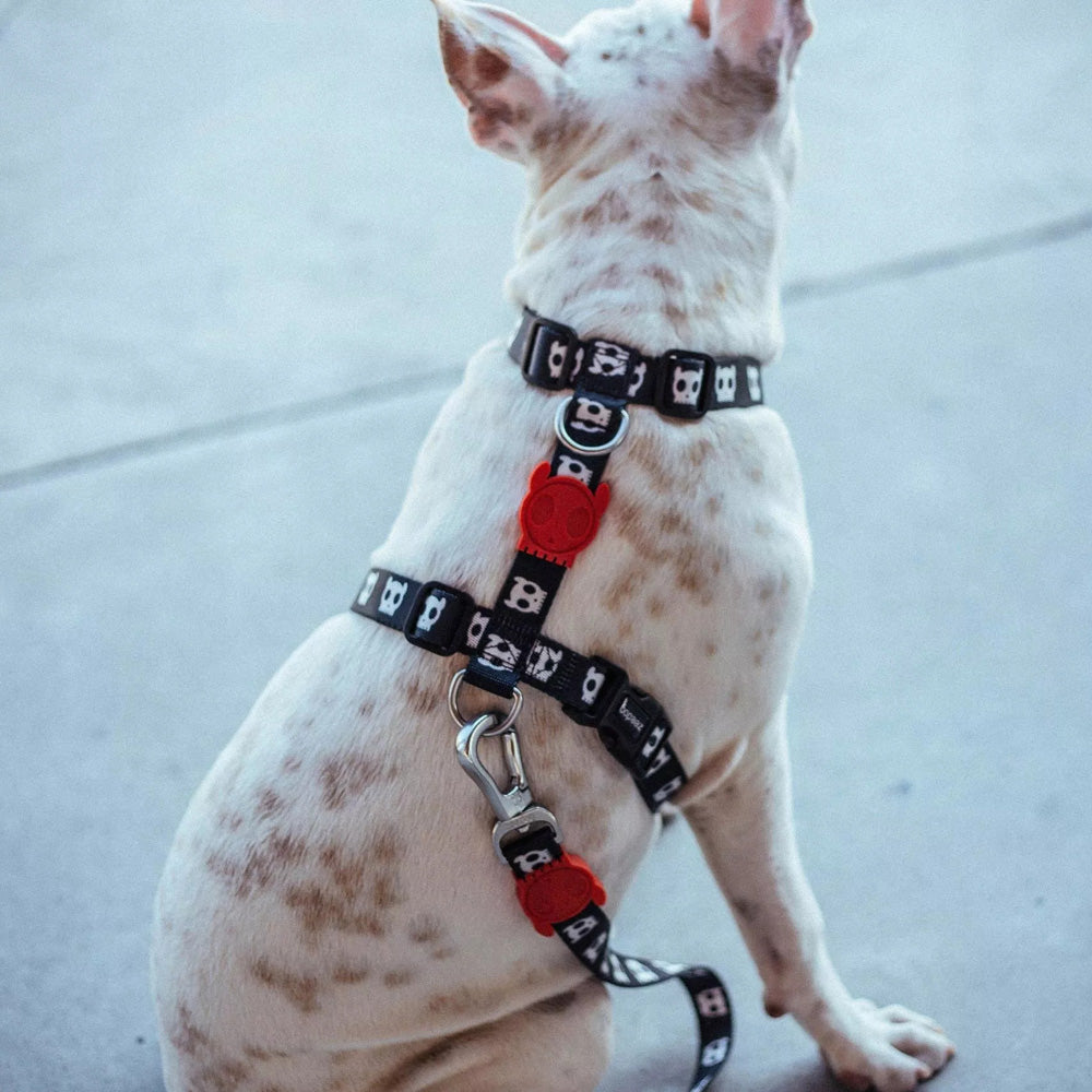 SKULL H-HARNESS スカル Hハーネス