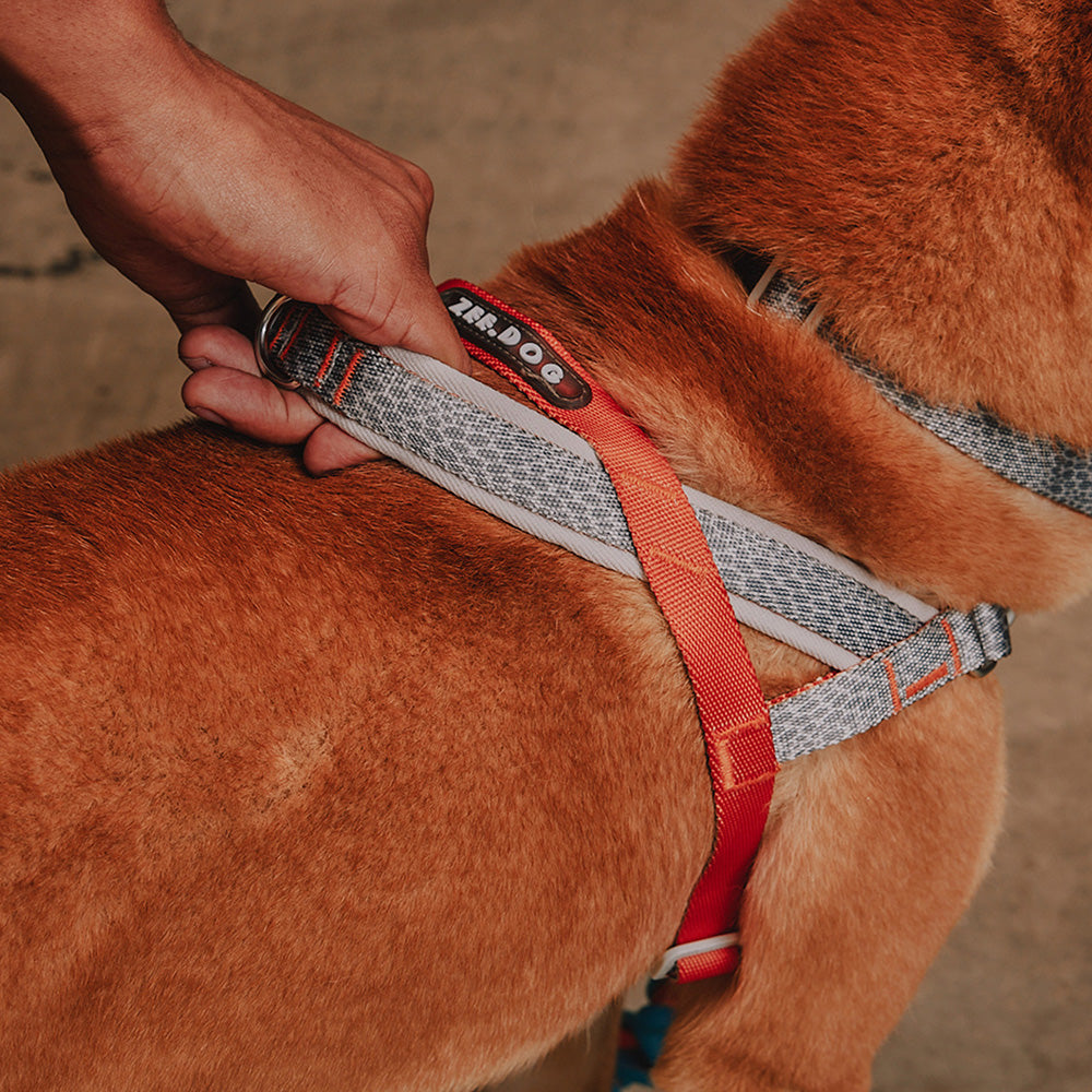 Reebok SUEDE SOFTER WALK HARNESS リーボック スエード ソフターウォークハーネス