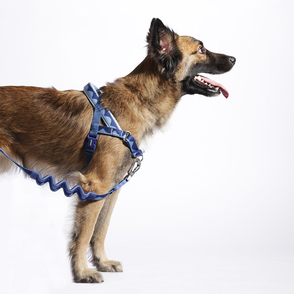 SWELL SOFTER WALK HARNESS スウェル ソフターウォークハーネス
