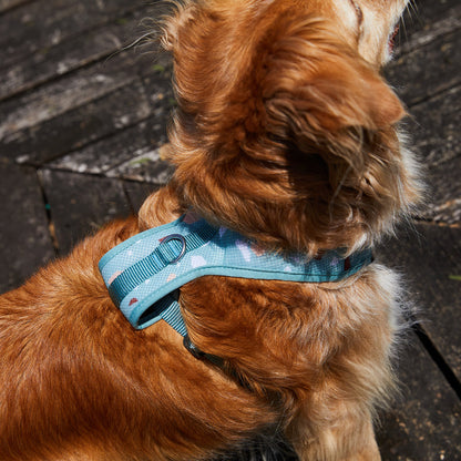 TERRAZZO GREEN MESH HARNESS テラゾグリーン メッシュハーネス