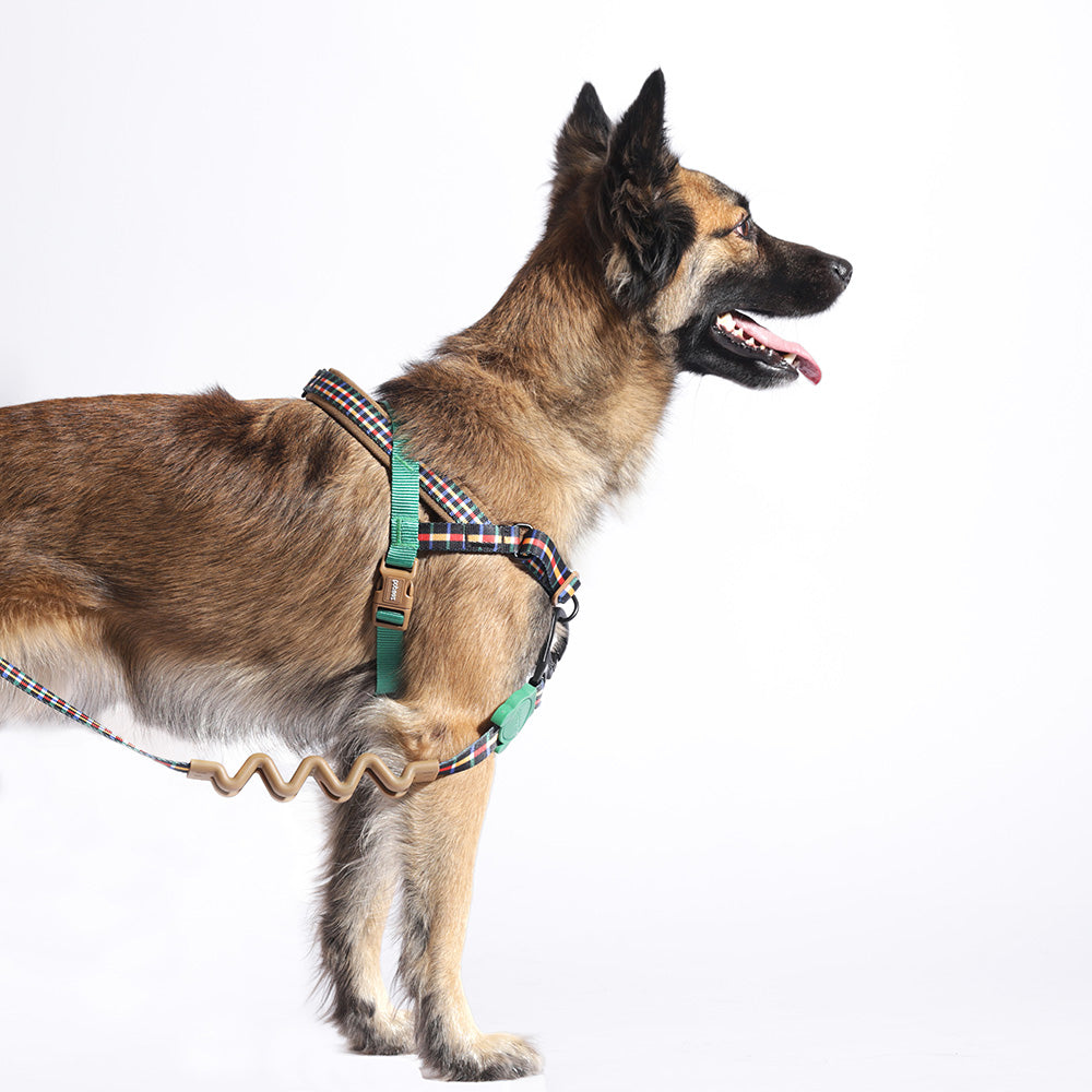 TRAVIS SOFTER WALK HARNESS トラビス ソフターウォークハーネス