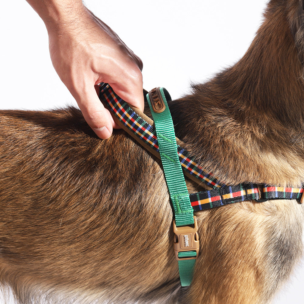 TRAVIS SOFTER WALK HARNESS トラビス ソフターウォークハーネス