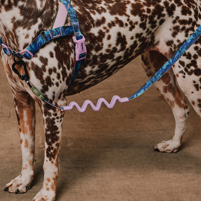 Reebok TREKK RUFF LEASH リーボック トレック ラフリード