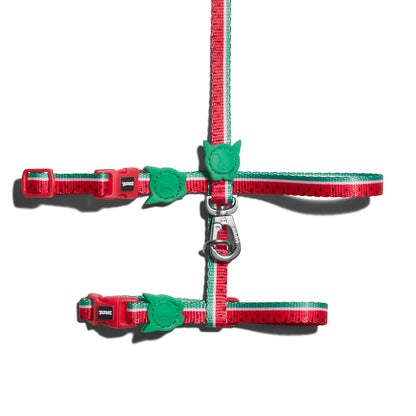 zee.cat LOLA LEASH HARNESS SET ローラ リード・ハーネスセット