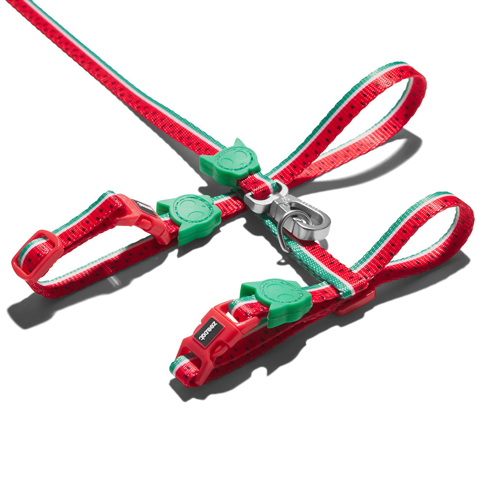 zee.cat LOLA LEASH HARNESS SET ローラ リード・ハーネスセット