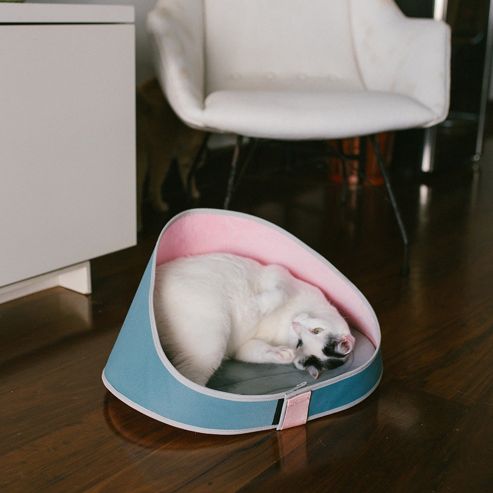 ZEE.CAT BED KOMBUCHA ジーキャット ベッド コンブチャ