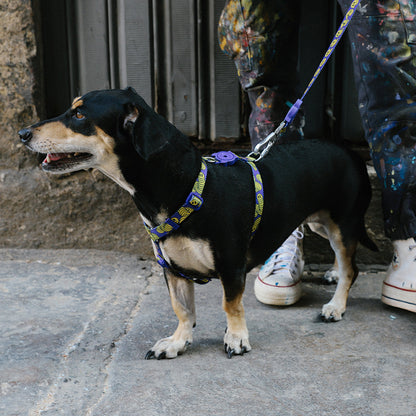 ZEE.TOWN ZMILEY H-HARNESS ジータウン ズマイリー Hハーネス