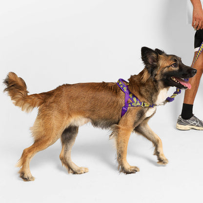 ZEE.TOWN ZMILEY SOFTER WALK HARNESS ジータウン ズマイリー ソフターウォークハーネス
