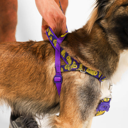 ZEE.TOWN ZMILEY SOFTER WALK HARNESS ジータウン ズマイリー ソフターウォークハーネス